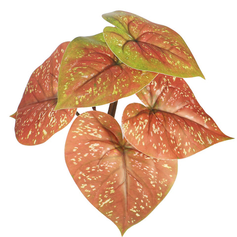 Caladium plant fake leaves for lush greenery decor