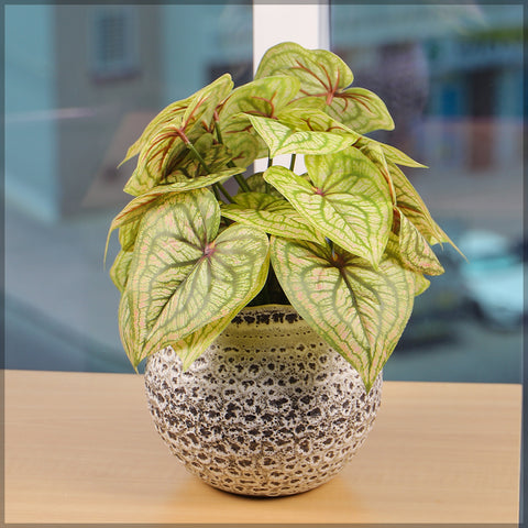 Faux caladium leaves for indoor planters