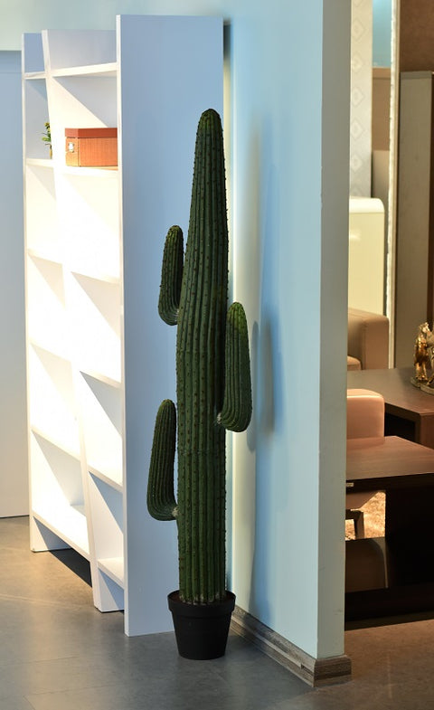 Tall artificial cactus for minimalist spaces