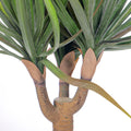 Fake dracaena marginata plant