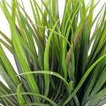 Artificial dracaena marginata for indoor spaces