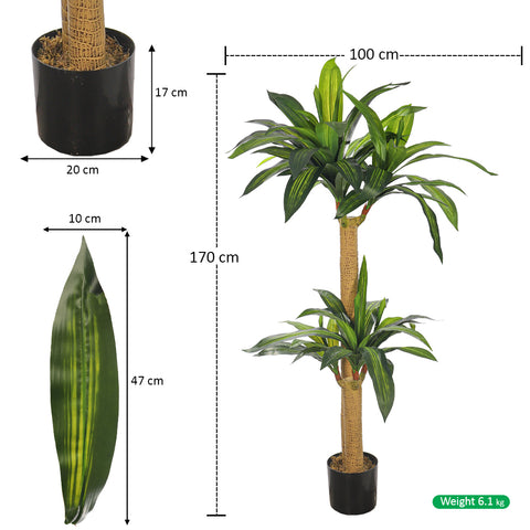 Artificial Dracaena Plant