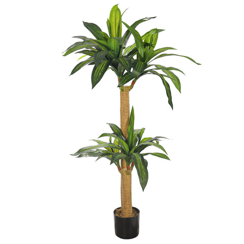 Artificial Dracaena Plant