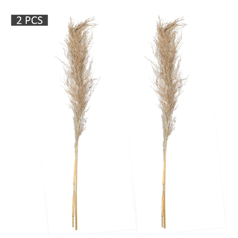 2pcs Natural Dried Pampas Grass