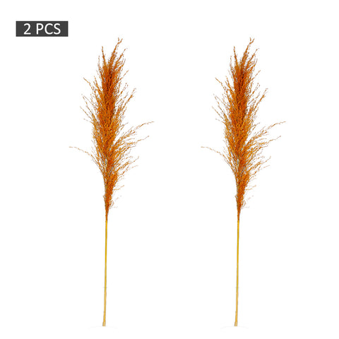 2pcs Natural Dried Pampas Grass