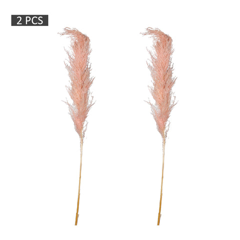 2pcs Natural Dried Pampas Grass