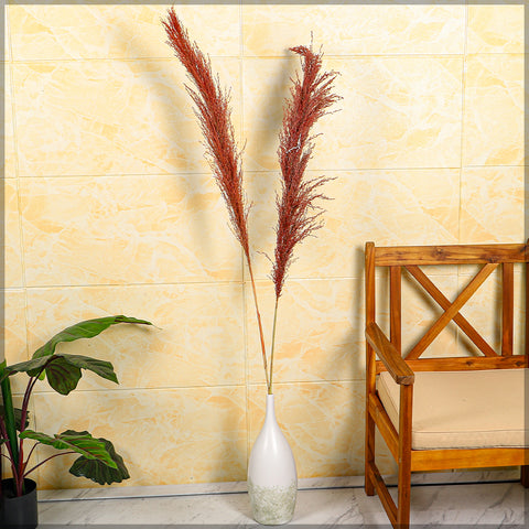 2pcs Natural Dried Pampas Grass