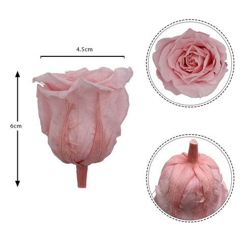 6CM Preserved Rose Flower