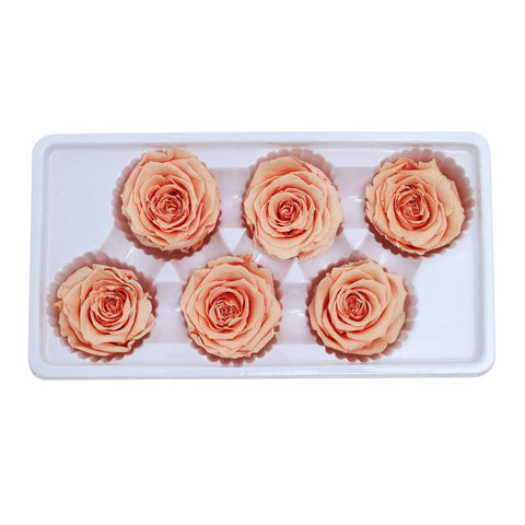 6CM Preserved Rose Flower