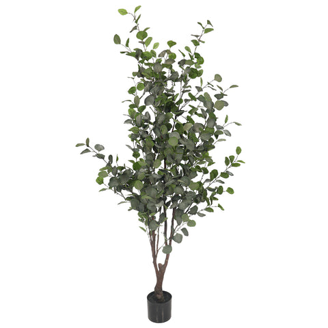 Artificial Eucalyptus Plant 170cm Tall