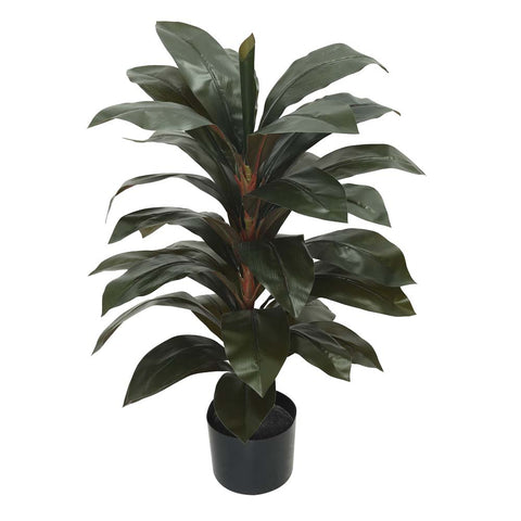 Realistic fake Cordyline Fruticosa for tropical home decor