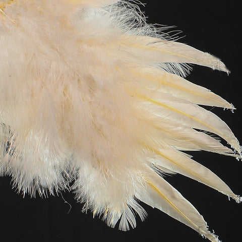 Decorative Fancy Real Feathers