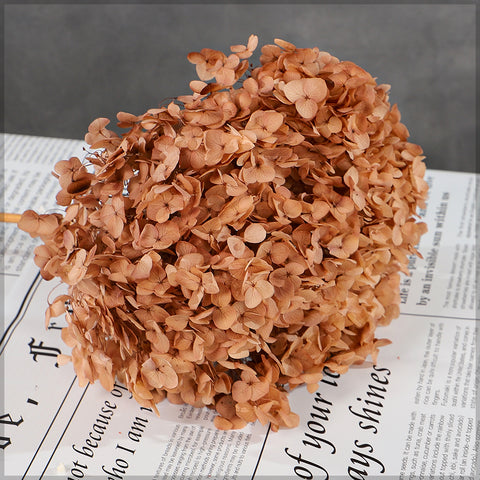 Natural Preserved Dried Hydrangea Flower