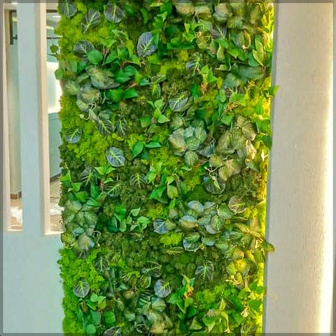 Fresh Moss Wall Decoration