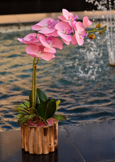 Silk Artificial Orchid Flowers In Wooden Pot