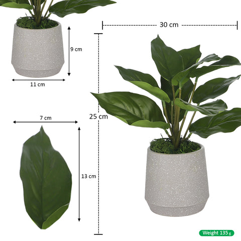 Potted Artificial Evergreen Small Plants