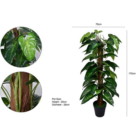 Artificial Philodendron Scandens Tree 1.7 Meters High