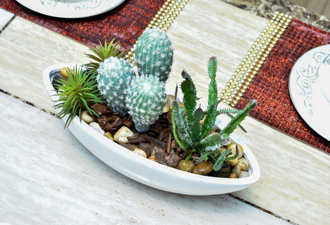 Fake cactus plant for indoor spaces