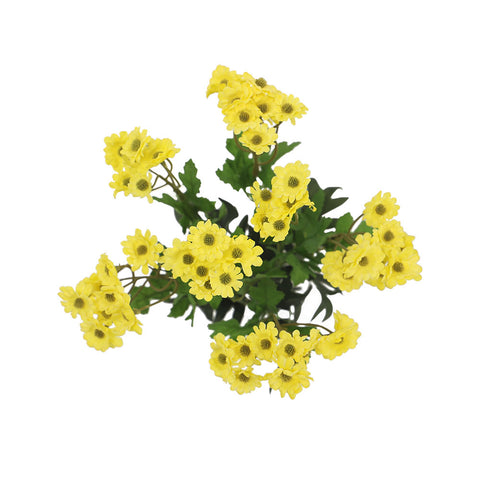 Artificial Mini Daisy Flowers