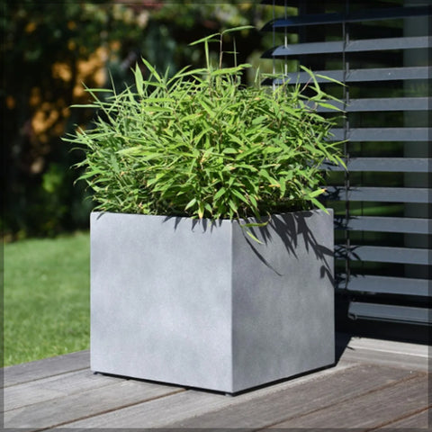 Square grey concrete pot