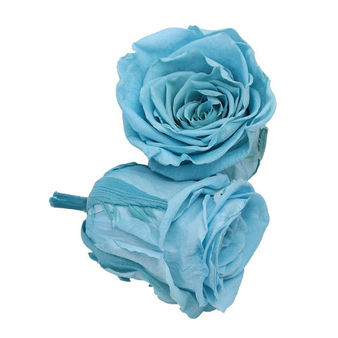 6CM Preserved Rose Flower