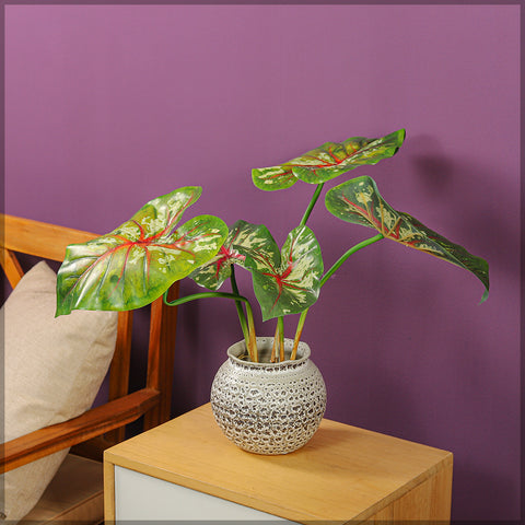 Faux mini caladium plant with colorful leaves for stylish interiors