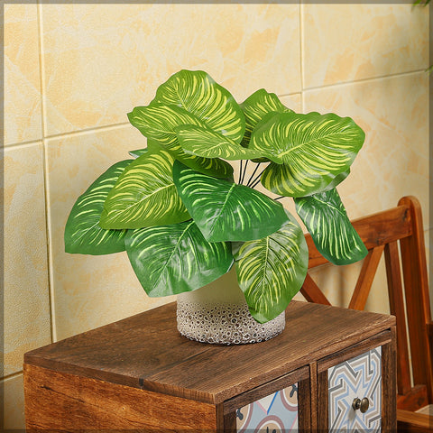 Realistic mini calathea plant in a decorative pot for office styling