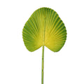 mini faux fan plam leaves