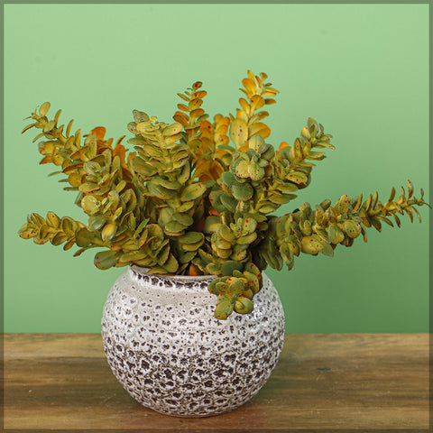 Decorative artificial money plant bunch for modern interiors