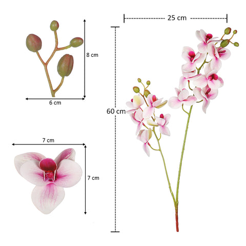 Artificial Moth Orchid