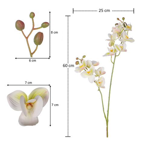 Artificial Moth Orchid