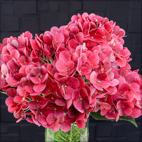 2bunches Nearly Natural 3D Hydrangea Flower