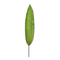 Artificial tropica faux leaves green