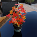 Faux silk maple leaf plant for stylish home decor