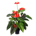 Artificial anthurium plant with vibrant red flowers for home decor