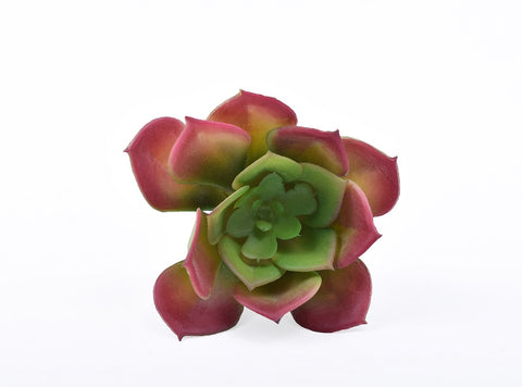 Artificial aeonium lily pad succulent