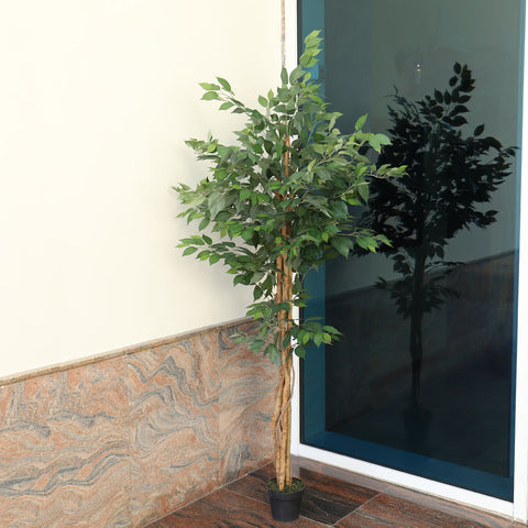 Artificial Ficus Plant 2.1 Meters High