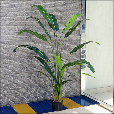 Artificial Paradise Plant 200cm Tall