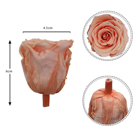 6CM Preserved Rose Flower