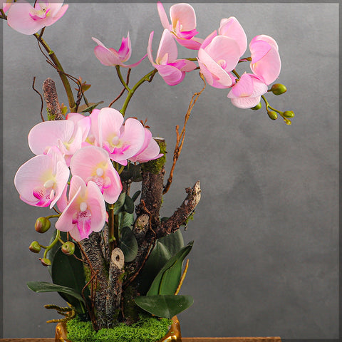 Orchid Flowers Arrangement Pink Color with Vase