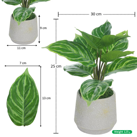 Potted Artificial Evergreen Small Plants