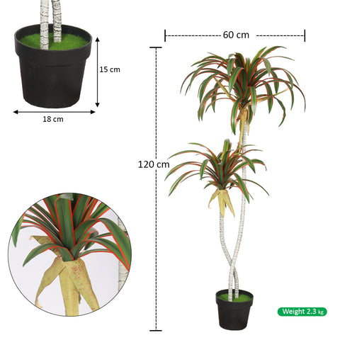 Potted Tropical Yucca Plant