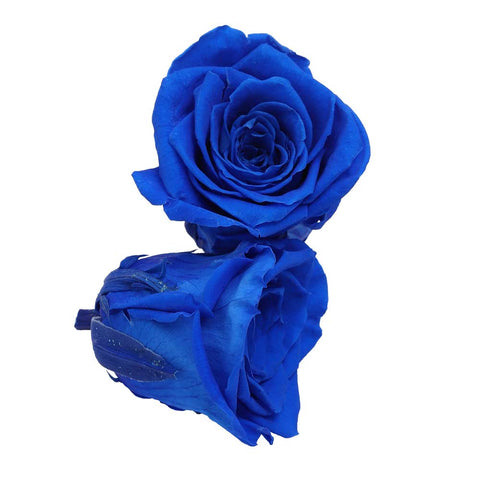 6CM Preserved Rose Flower