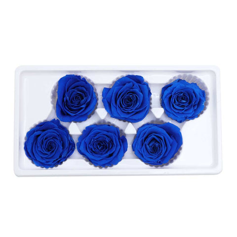 6CM Preserved Rose Flower