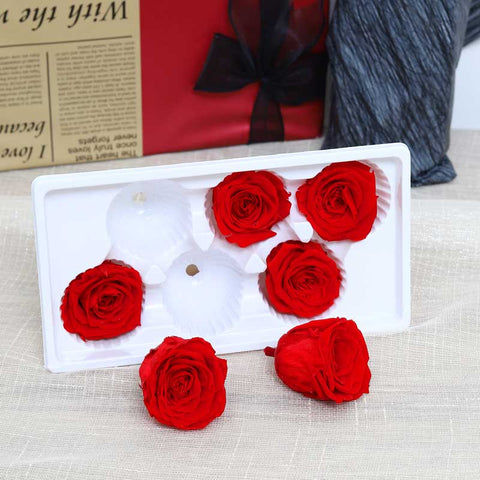 6CM Preserved Rose Flower