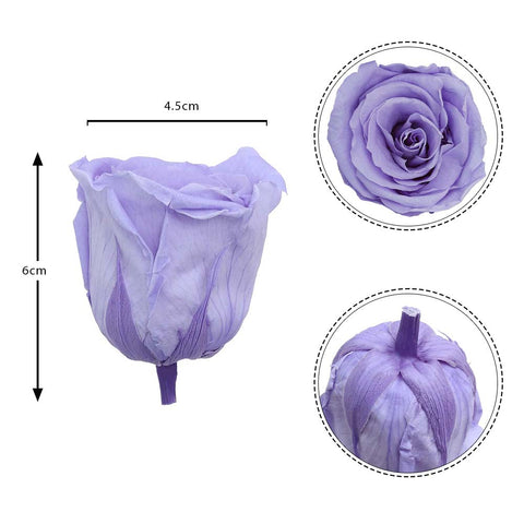 6CM Preserved Rose Flower