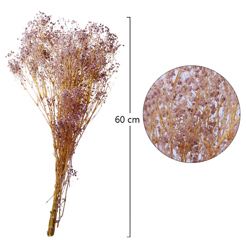 Dried Gypsophila Flowers