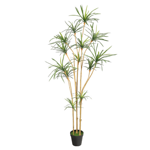 Realistic Yucca Plant 220cm Tall