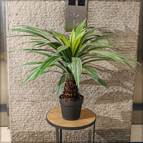 Realistic Yucca Plant 70cm High