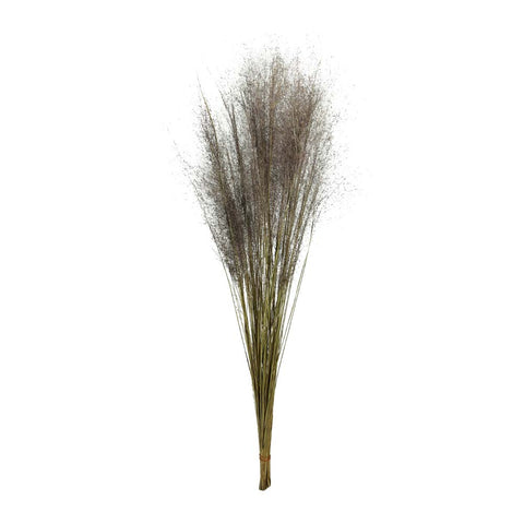 Natural Dried Grass